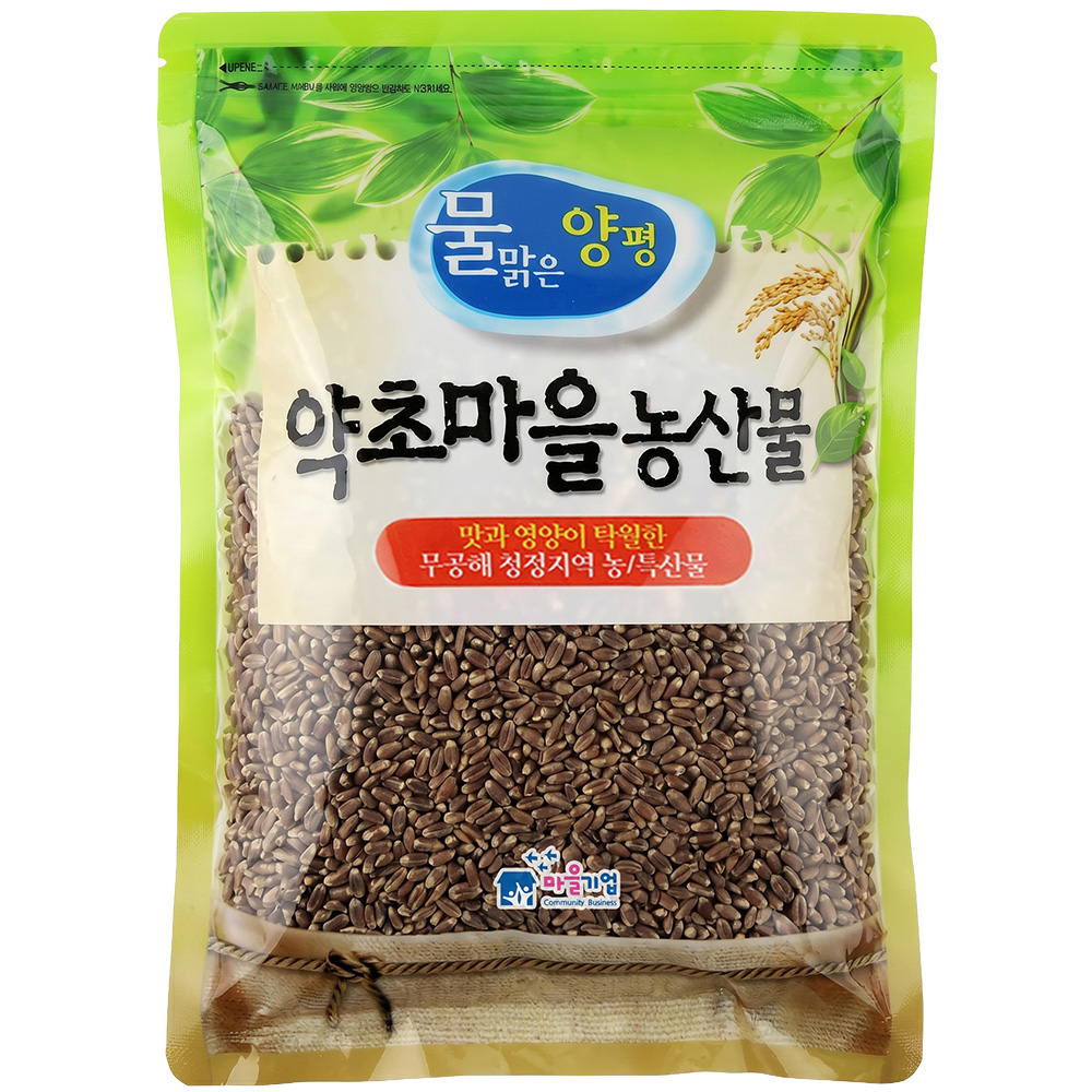 국산 아리진흑통밀씨앗 700g 새싹재배 농촌진흥청 개발 유색밀 품종 