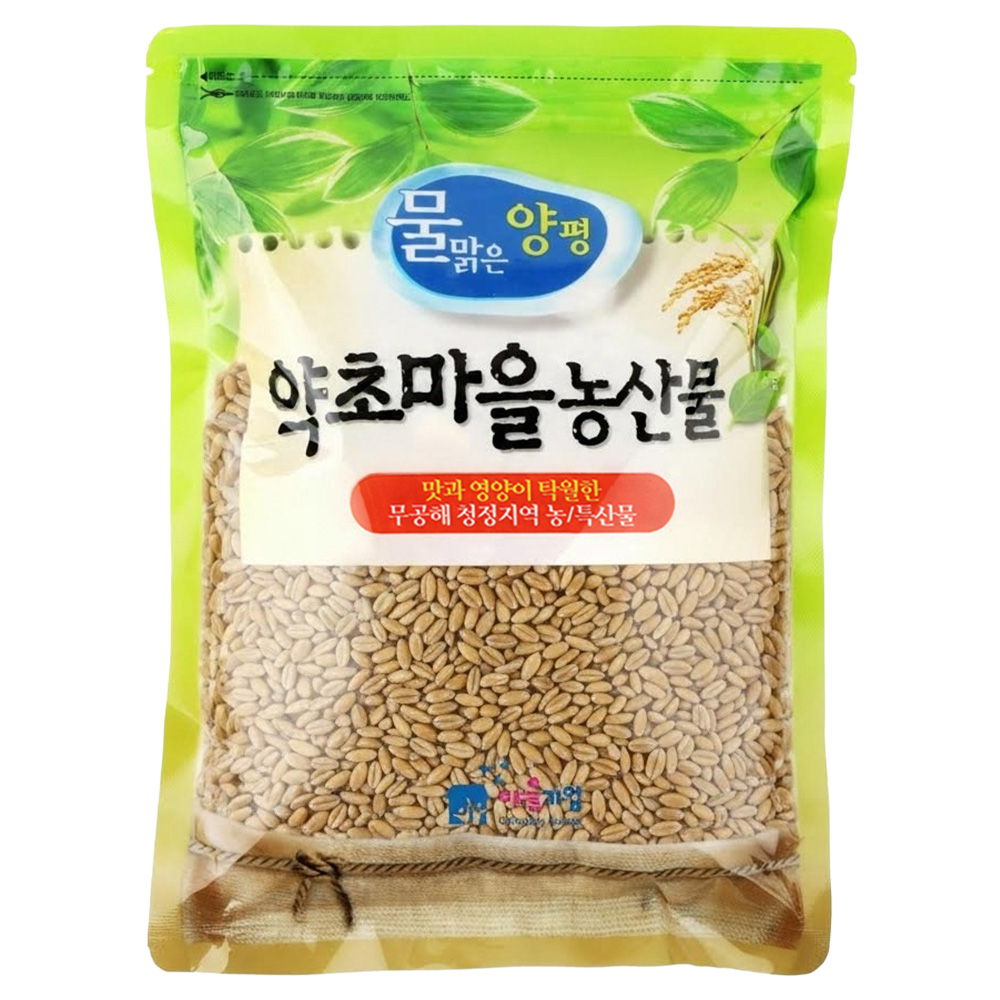 26년산 국산 양평 햇통밀 새싹용 1kg 금강통밀 백강통밀 황금알통밀